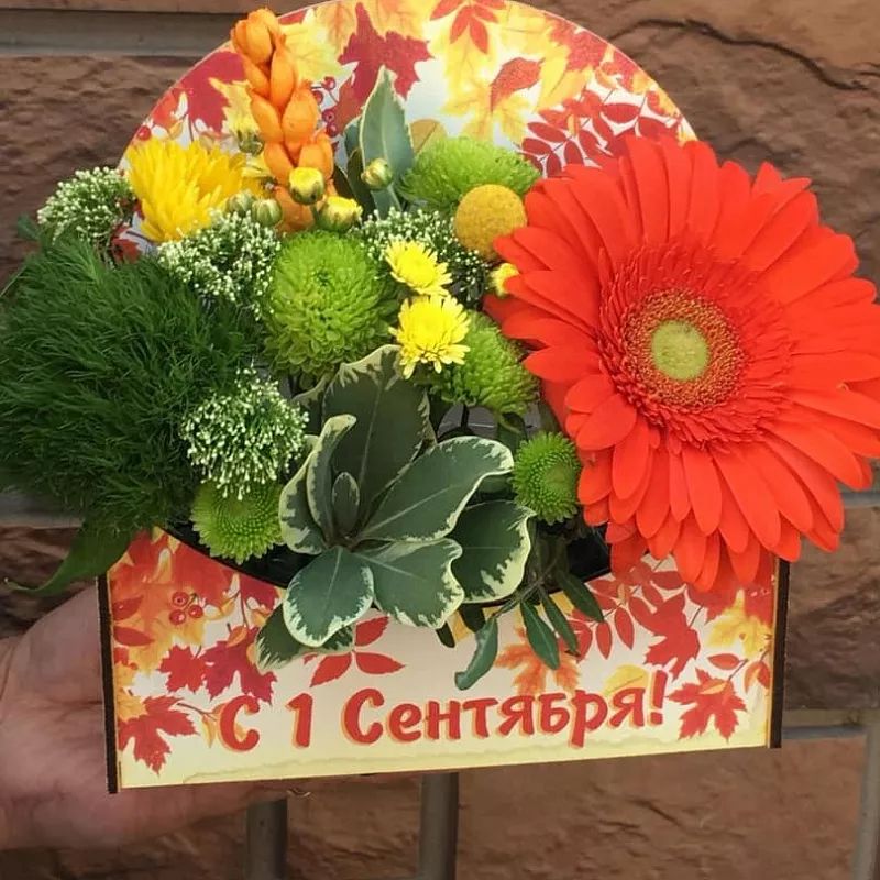картинка Композиция «С первым сентября» цветочного магазина "Кактус" являющийся официальным дистрибьютором в России картинка Композиция «С первым сентября» цветочного магазина "Кактус"